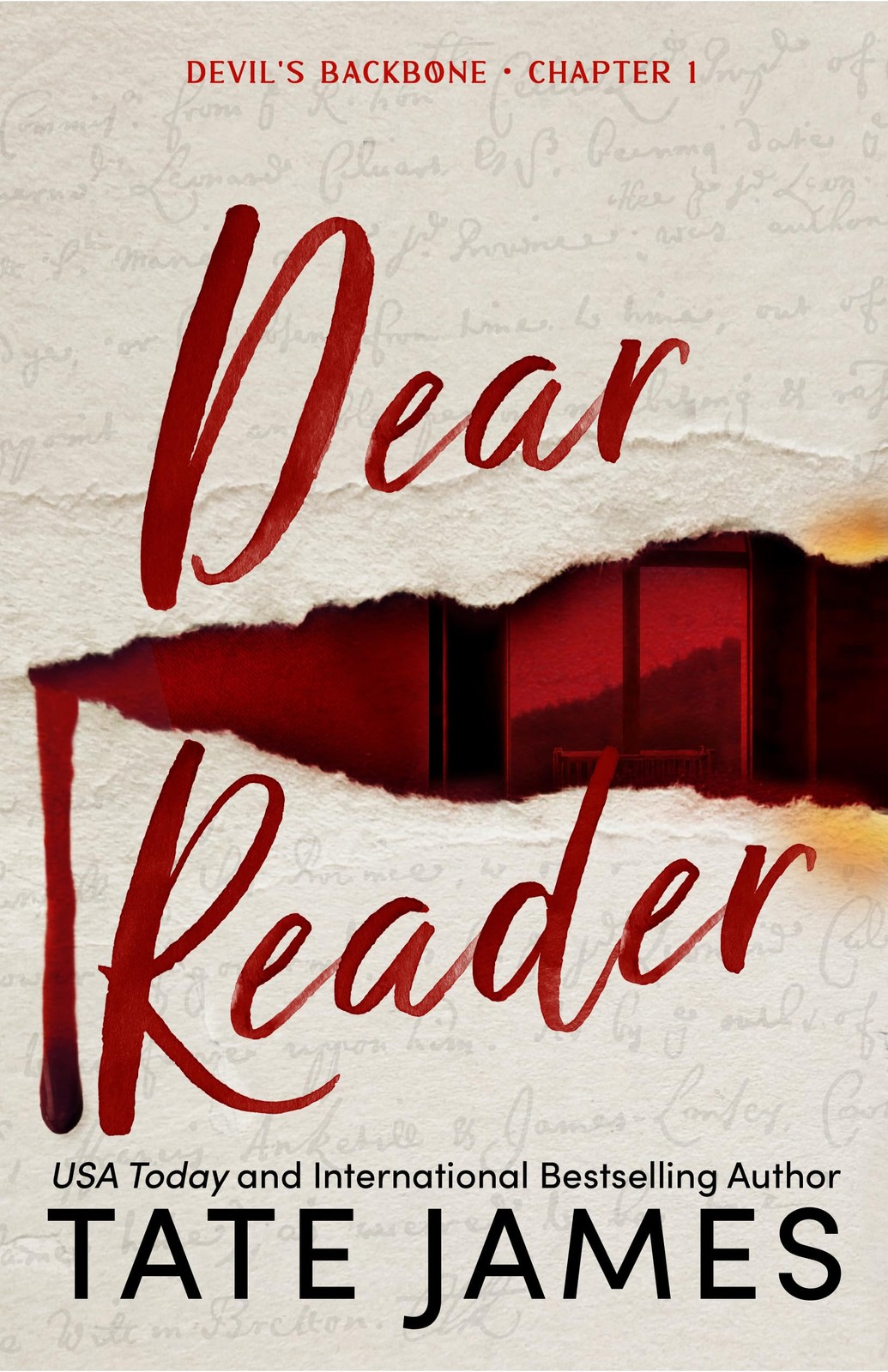 Dear Reader (Standard Edition): A Dark Academia Why Choose Romance (Devil’s …