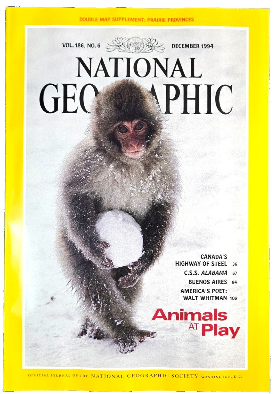 ANIMALS AT PLAY DECEMBER 1994 NATIONAL GEOGRAPHIC MAGAZINE FREE SHIPPING