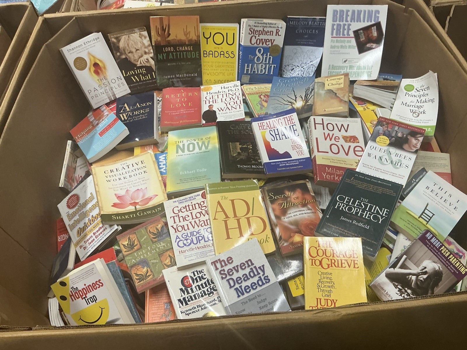 10 Pound Book Lot: Choose Your Genre-Fiction Nonfiction Kids Self-Help History