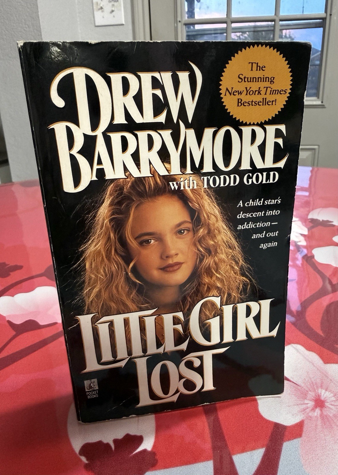 Little Girl Lost by Drew Barrymore and Todd Gold .. 1991 .. Paperback.