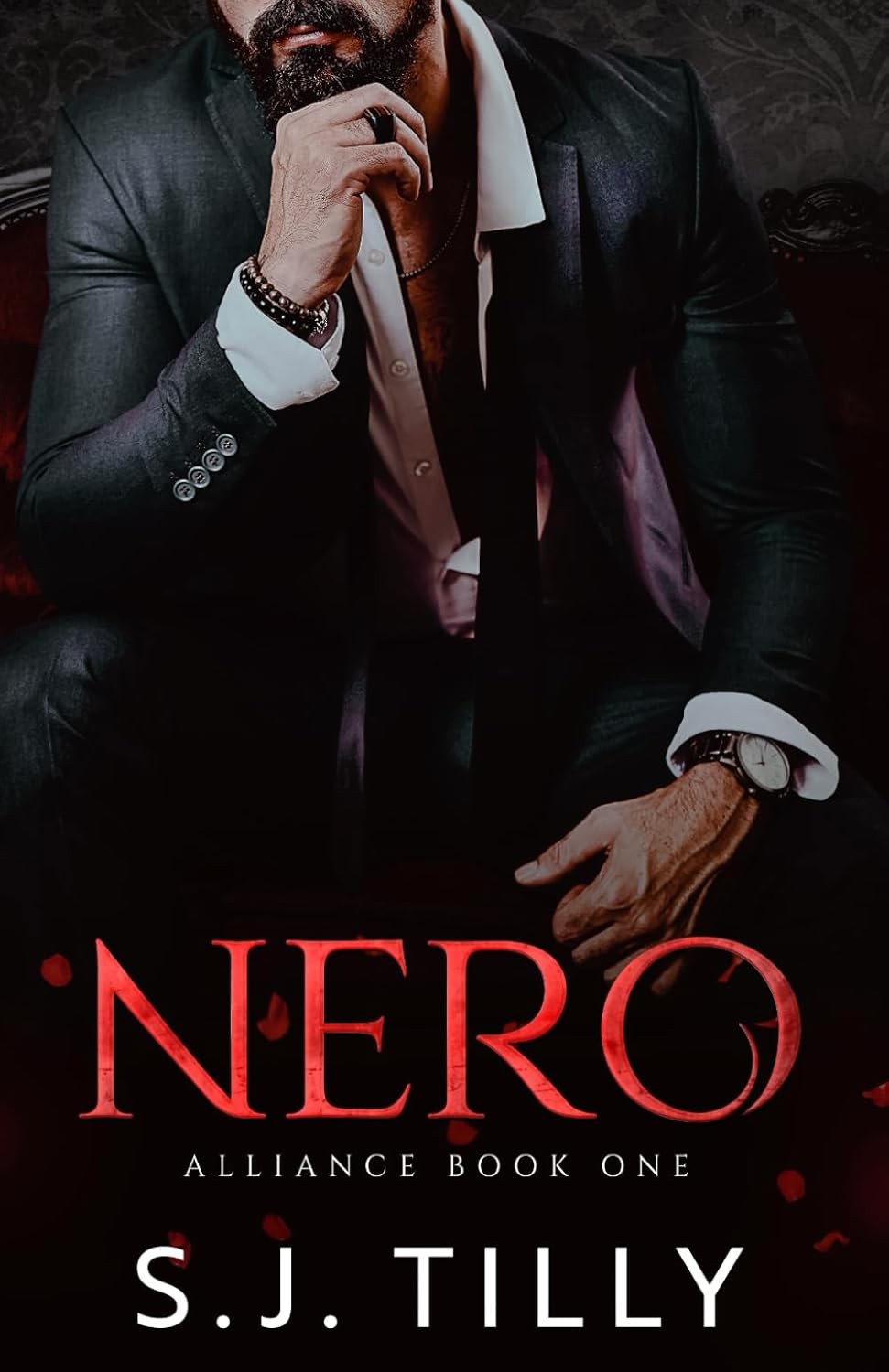 Nero Paperback by S J Tilly