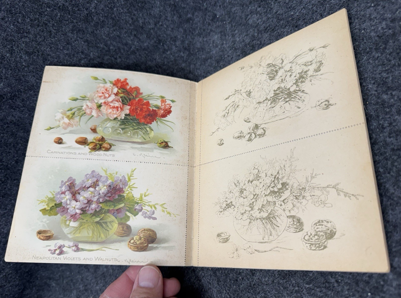 Flower And Fruit Postcard Painting Book ~ Tuck Antique 1920’s Complete Unused