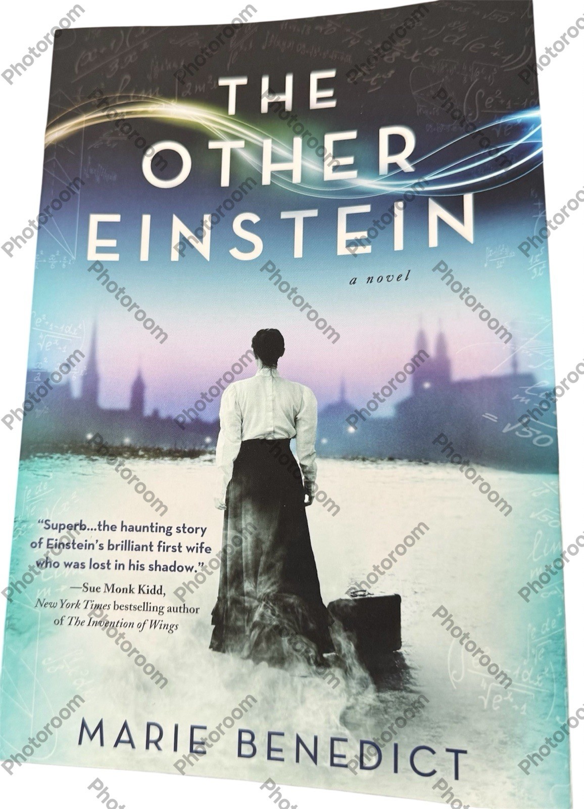 The Other Einstein by Marie Benedict 2016 Sourcebooks, Inc. PB