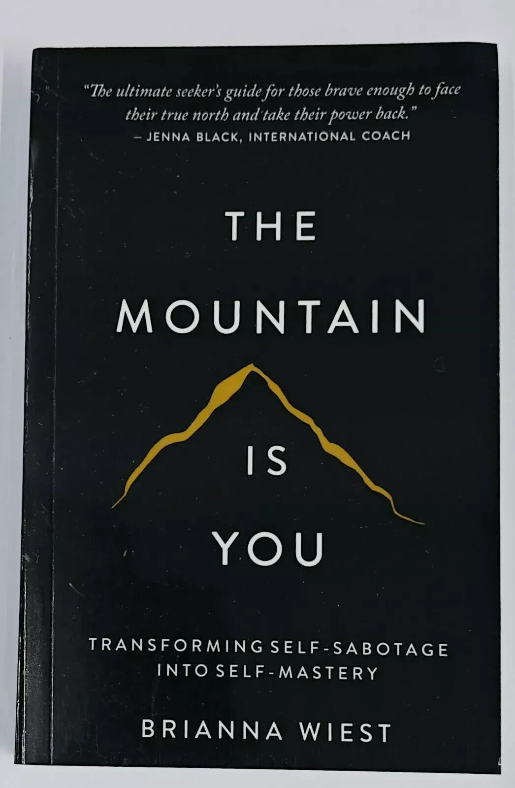 THE MOUNTAIN IS YOU BY BRIANNA WIEST USA stock Fast Shipping Paperback