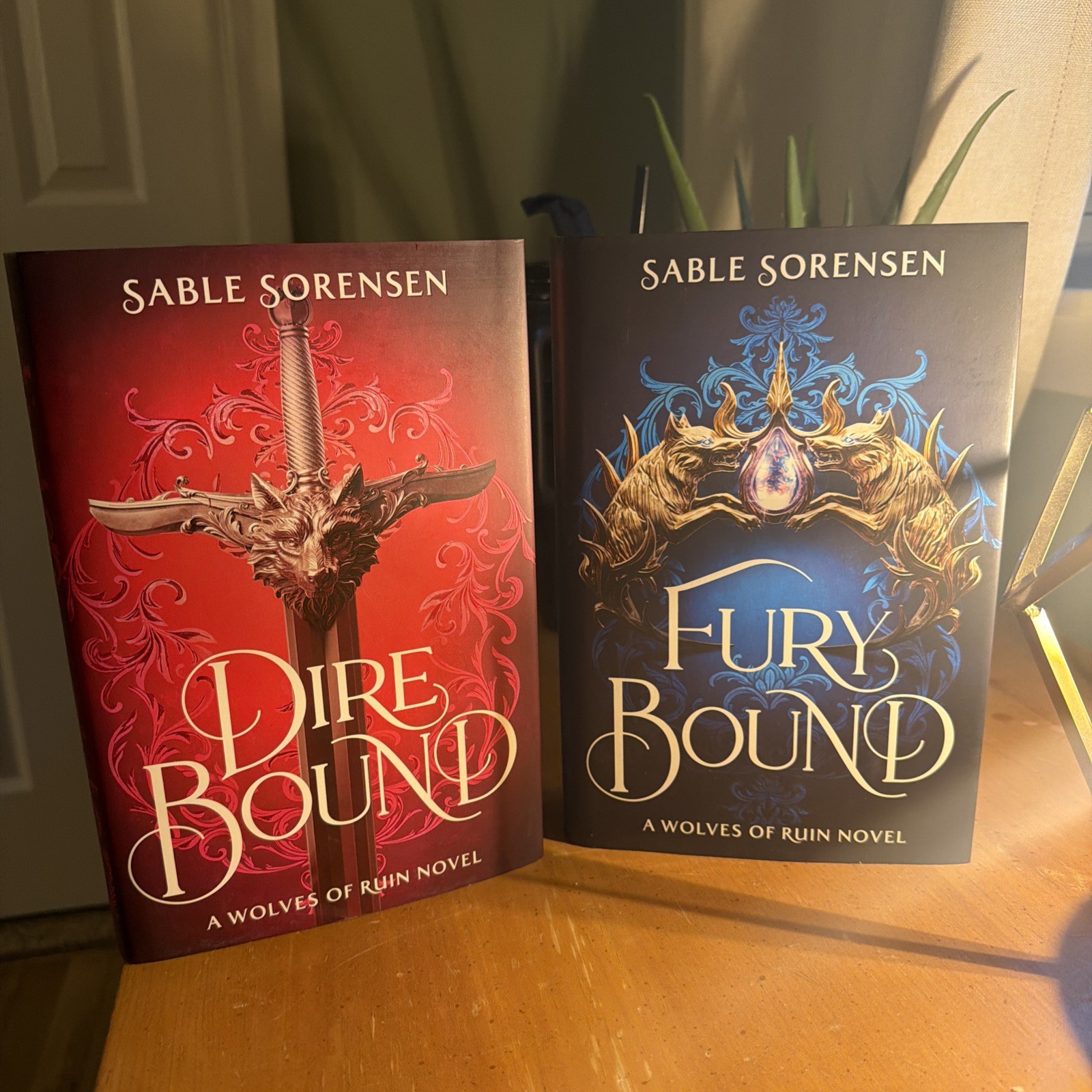 *SIGNED* Waterstones Dire Bound Fury Bound Sable Sorensen Special Edition Grey
