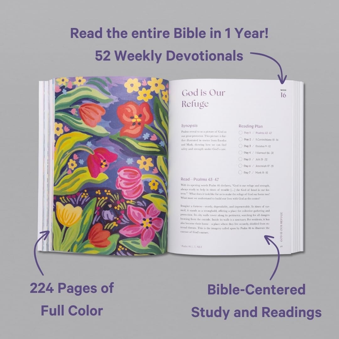 Beautiful Year in the Bible: the 52-Week Bible Study for Women by Alabaster