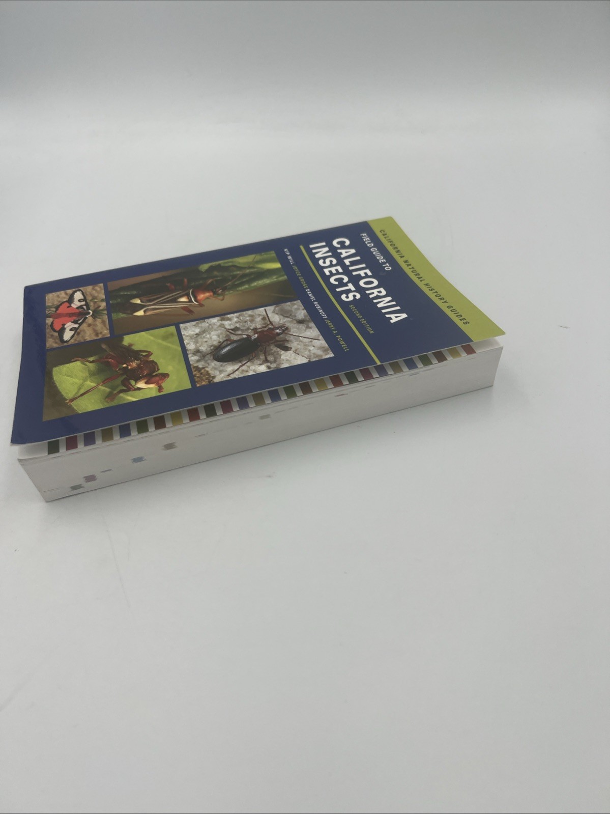Field Guide to California Insects : Second Edition by Kip Will, Daniel Rubinoff,