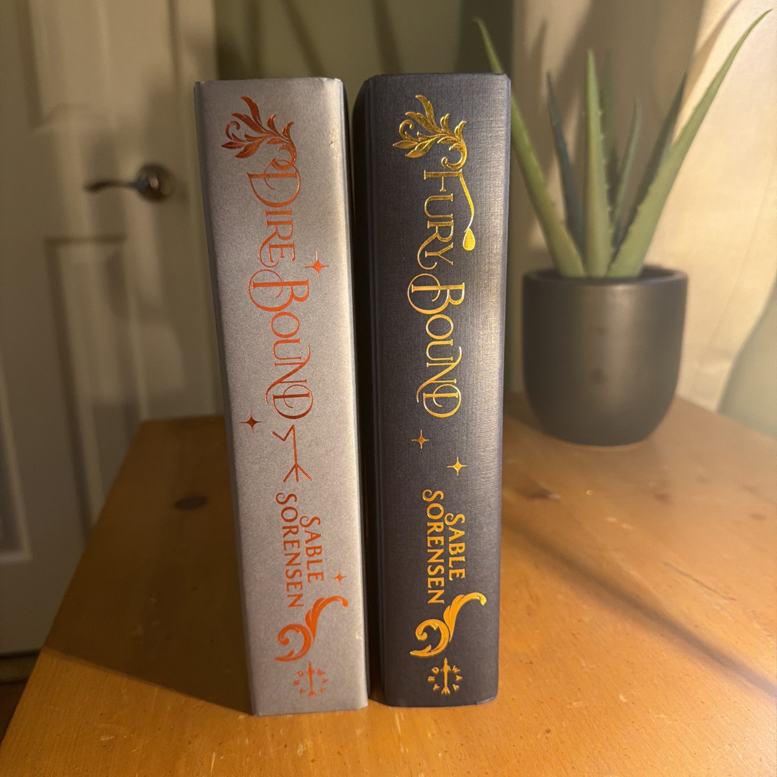 *SIGNED* Waterstones Dire Bound Fury Bound Sable Sorensen Special Edition Grey