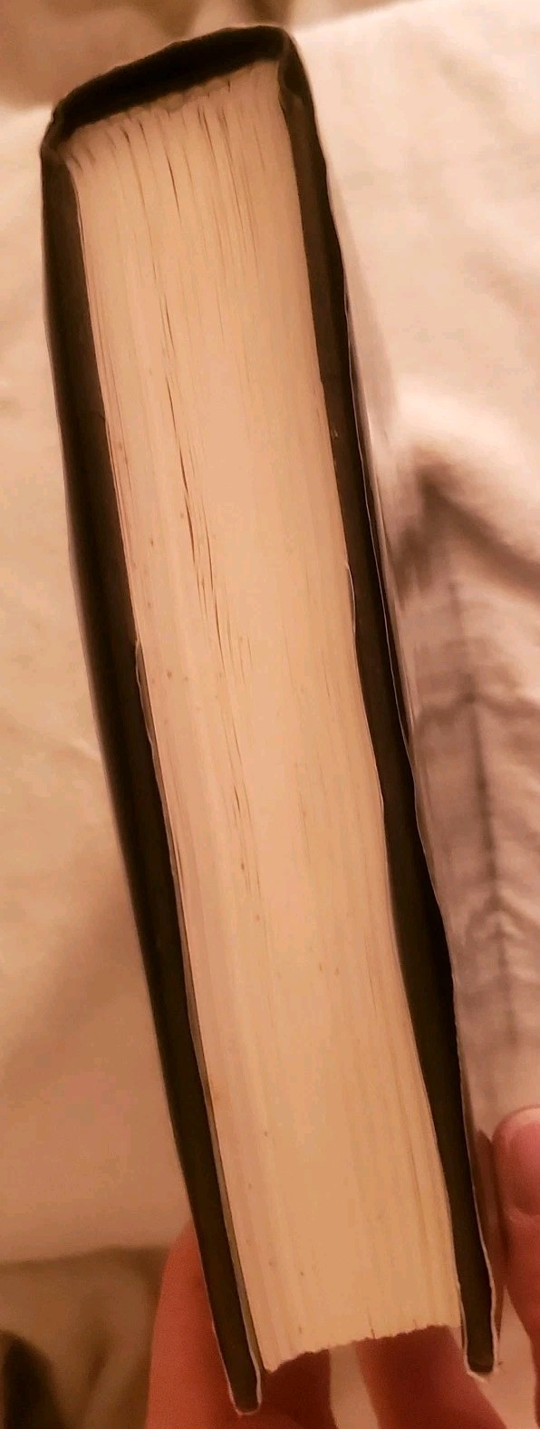 SIGNED* White Oleander Janet Fitch HB DJ 1ST ED
