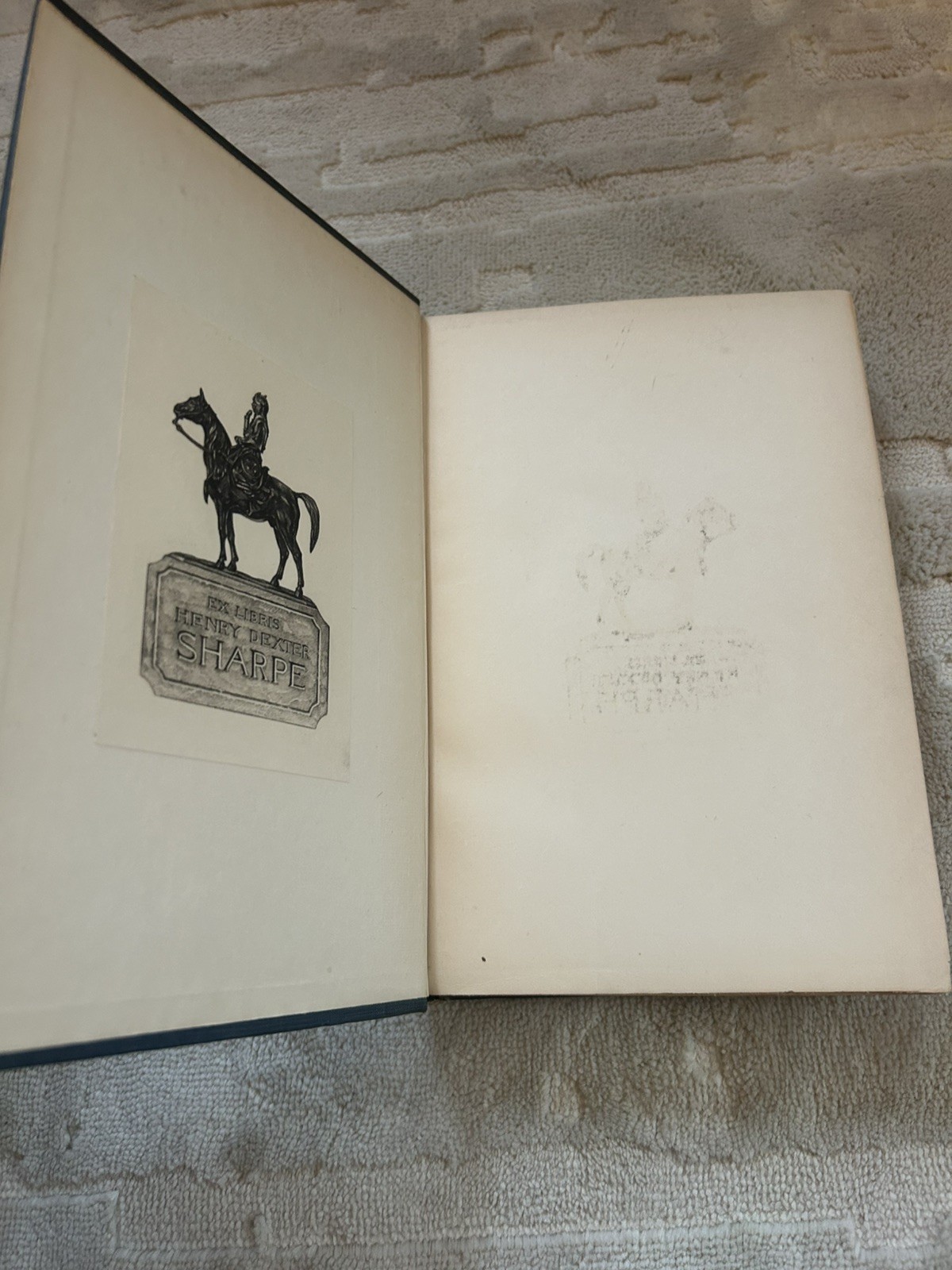 1916 1st EDITION “The Passing of the Great Race” Madison Grant, RARE HC book