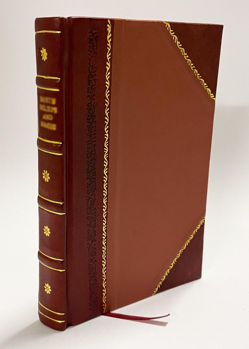 Some Records of the Ashtead Estate and of Its Howard Possessors [Leather Bound]