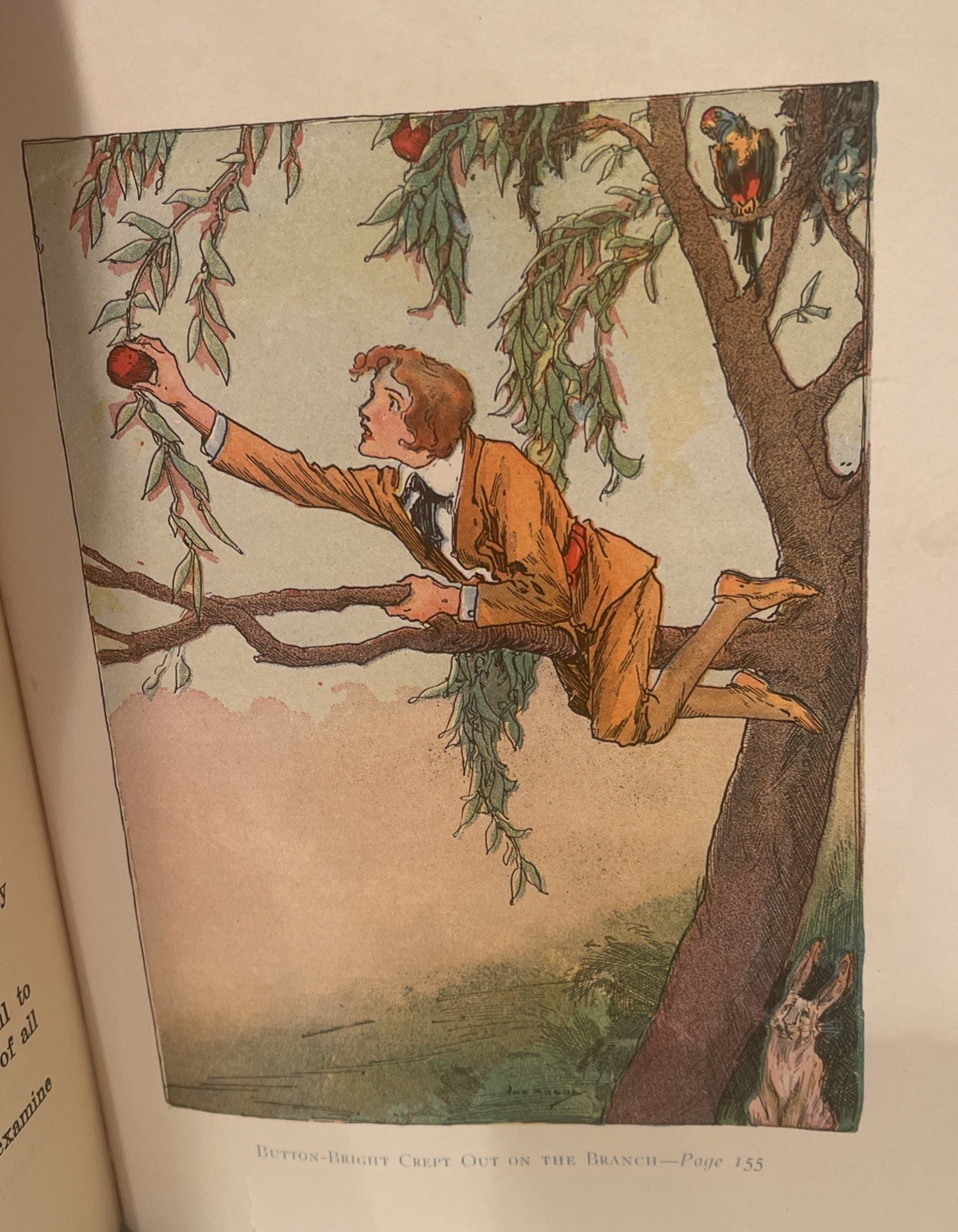 The Lost Princess of Oz 1920’s Edition w/ color plates /Frank Baum/ Reilly & Lee
