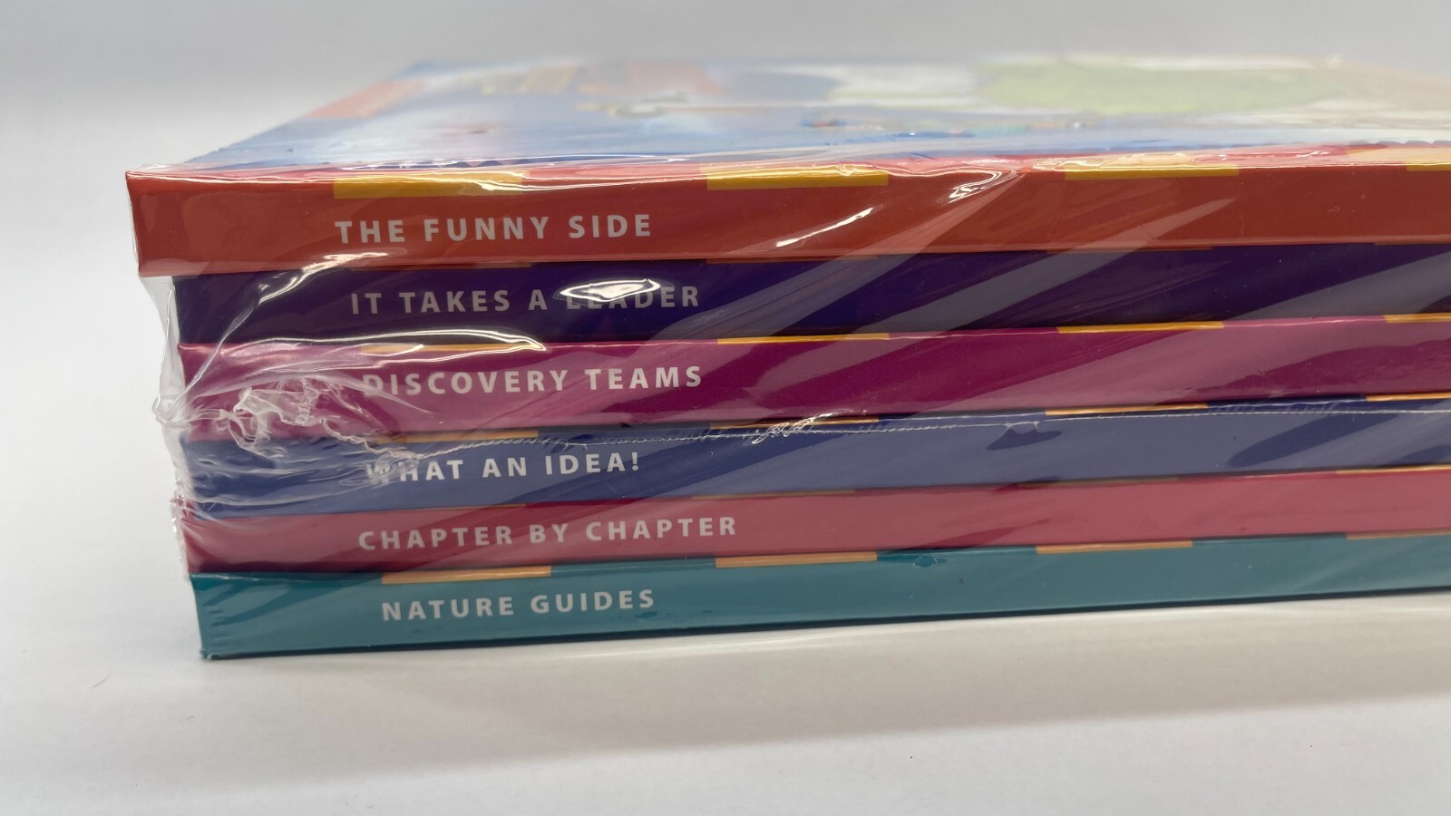 Scholastic (Hardcover) Lot of 6 Books 4th Grade Teacher Literacy Sourcebook