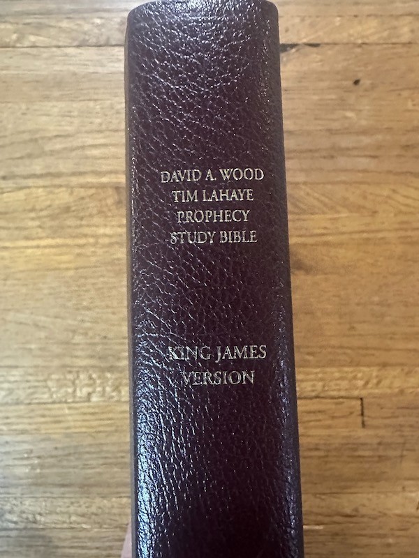 PROPHECY STUDY BIBLE Burgundy Leather KJV Red Letter TIM LAHAYE/DAVID WOOD 2000