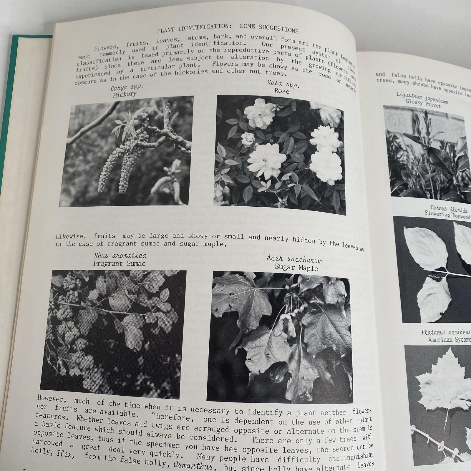 Know It & Grow It Guide II Identification and Use of Landscape Plants 720 Pages