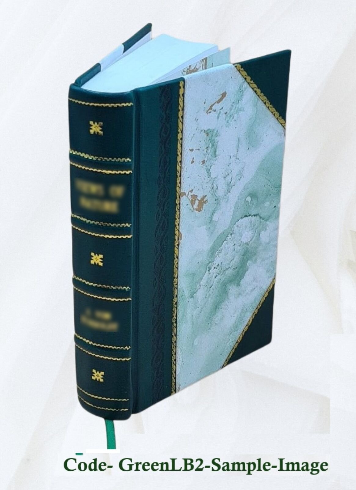 Naturalistic Photography For Students Of The Art 1889 [Leather Bound]
