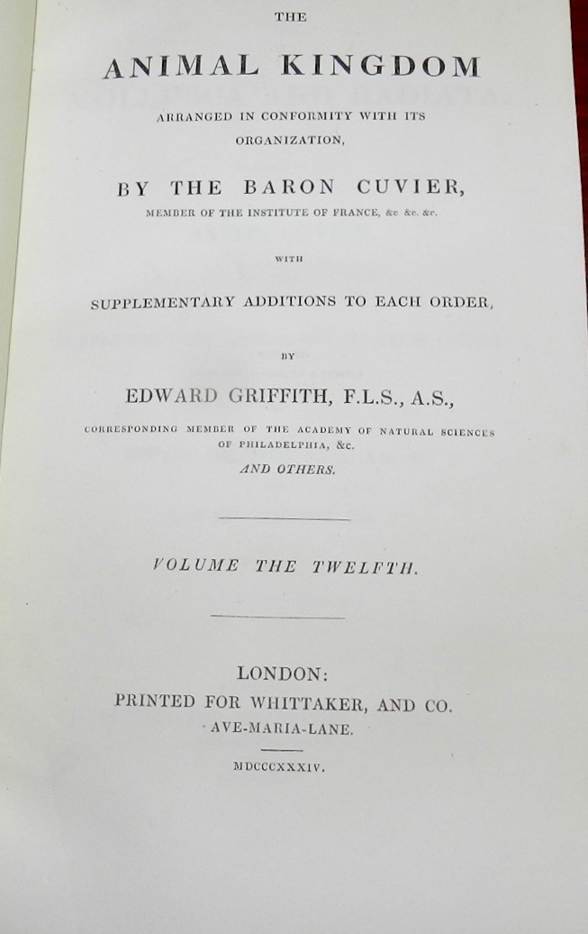 1834 Cuvier / Griffith Animal Kingdom MOLLUSCA & RADIATA 60 Wonderful Plates 1s