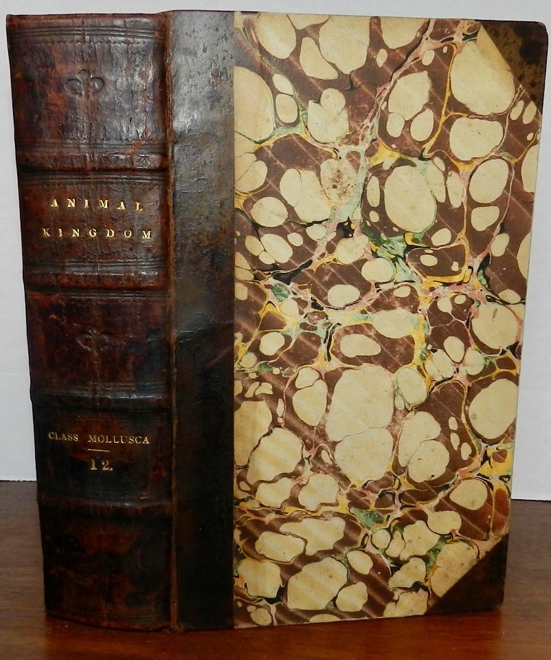 1834 Cuvier / Griffith Animal Kingdom MOLLUSCA & RADIATA 60 Wonderful Plates 1s