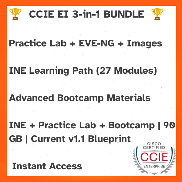 CCIE Enterprise Infrastructure 1.1 Bootcamp + Workbooks Labs Images