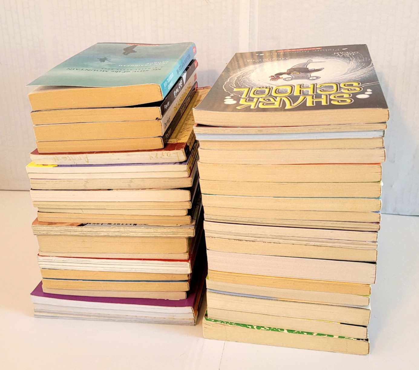 Boys Chapter Books Lot 3rd/4th/5th/6th Grade 42 PB Scholastic Homeschool
