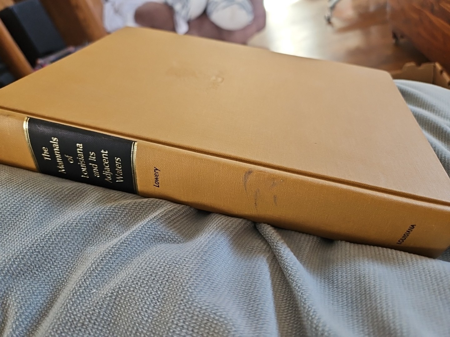 The Mammals of Louisiana and Its Adjacent Waters by Lowery LSU Press