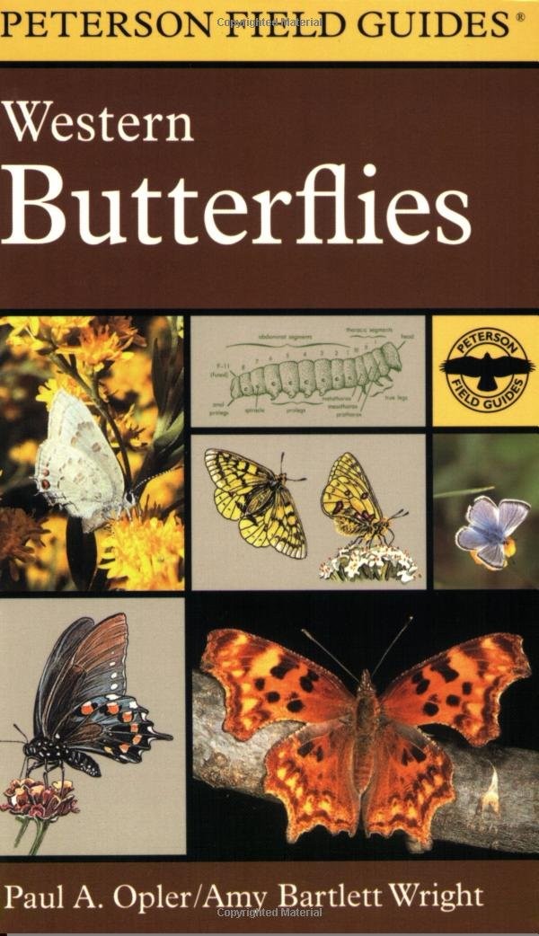 A Field Guide to Western Butterflies (Peterson Field Guide)