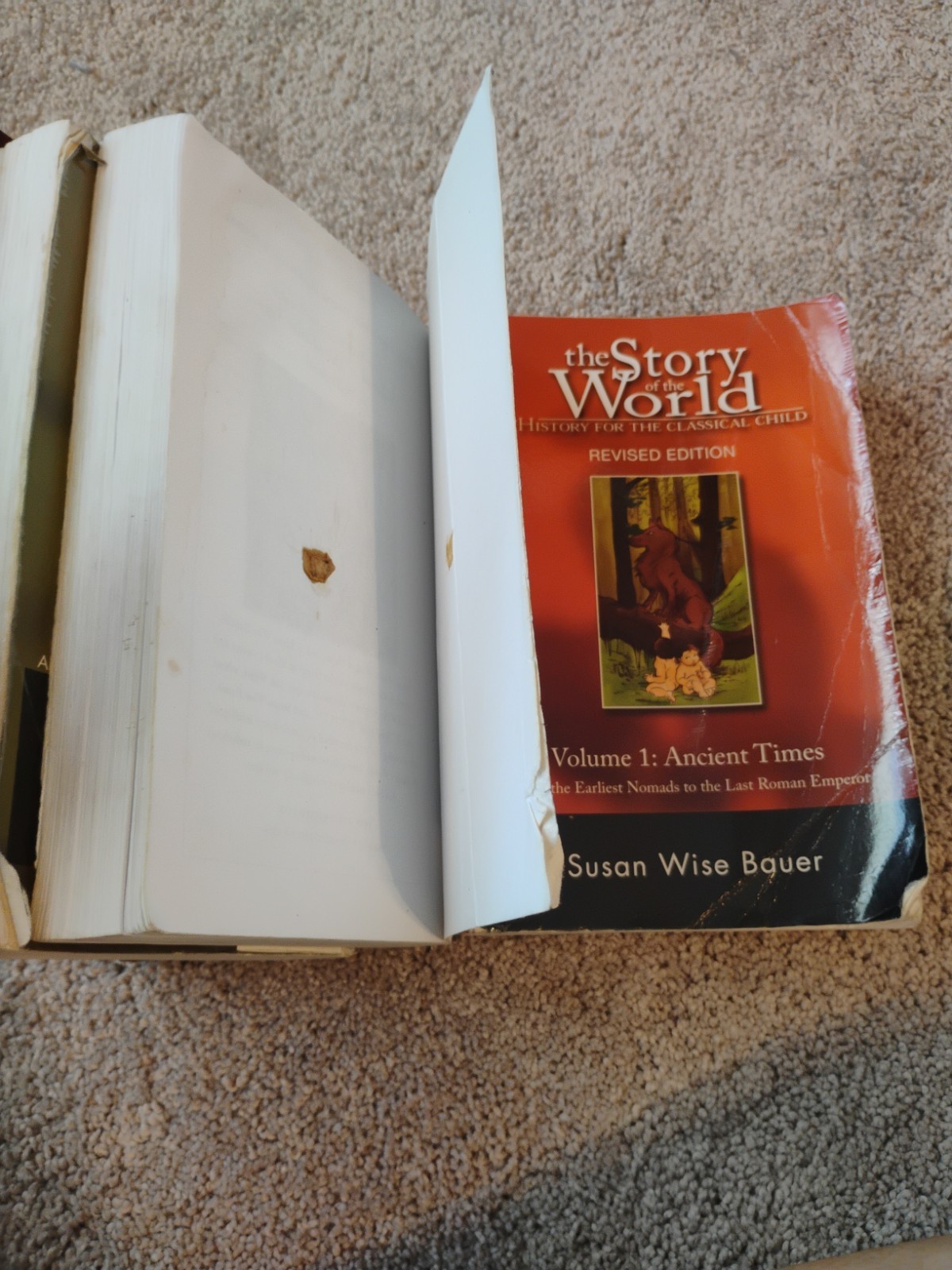 The Story of the World Vols 1-4 by Susan Wise Bauer + Activity Books 2 & 4