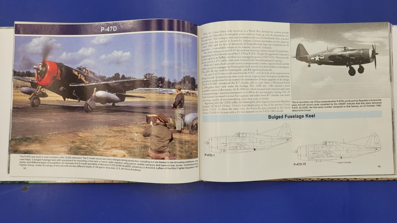 SQUADRON P-47 Thunderbolt Action Military Photo Hardcover Book WWII US Aircraft