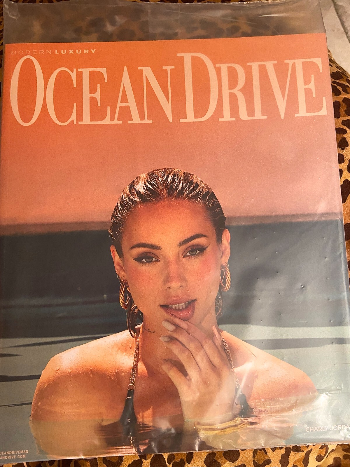 Ocean Drive Magazine 2017 PETER MAX, KATE BROCK KING, ELLE MACPHERSON, LONGORIA