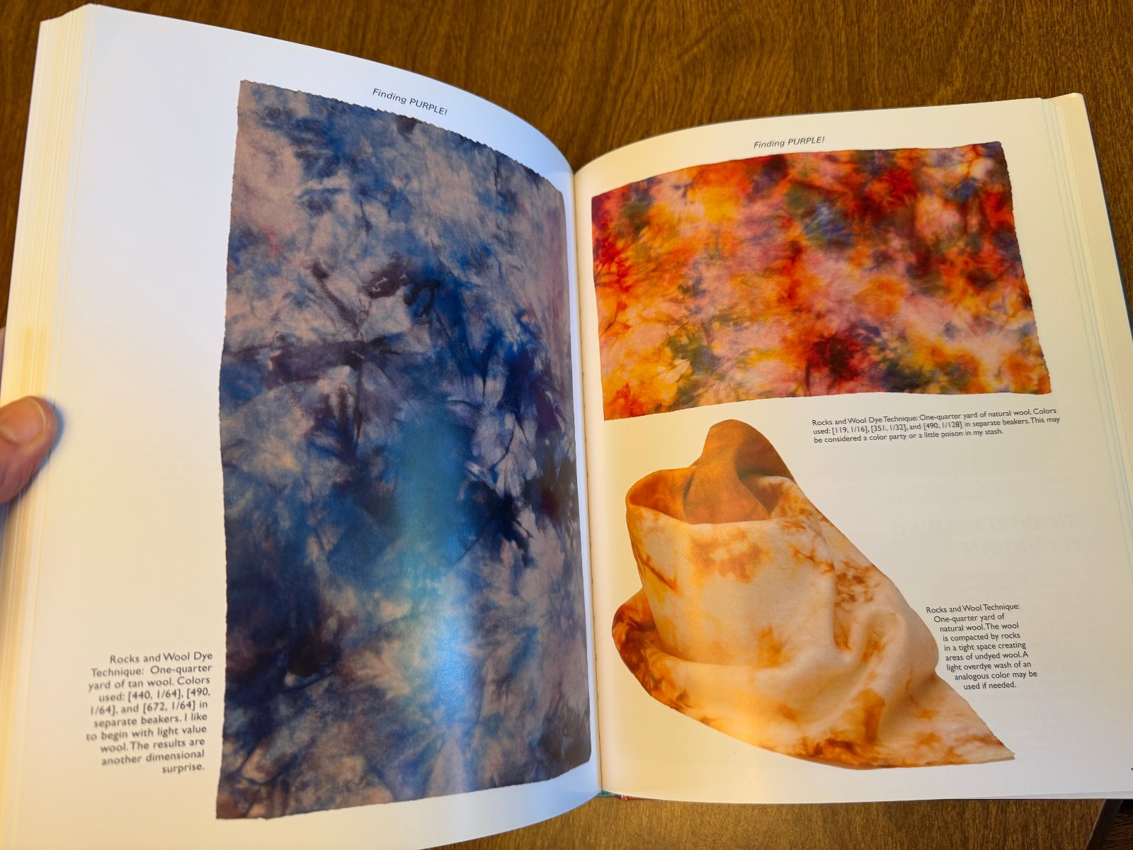 Dyeing Wool: 20 Techniques, Beginner to Advanced HDCJ Illustr. 2010 Fine