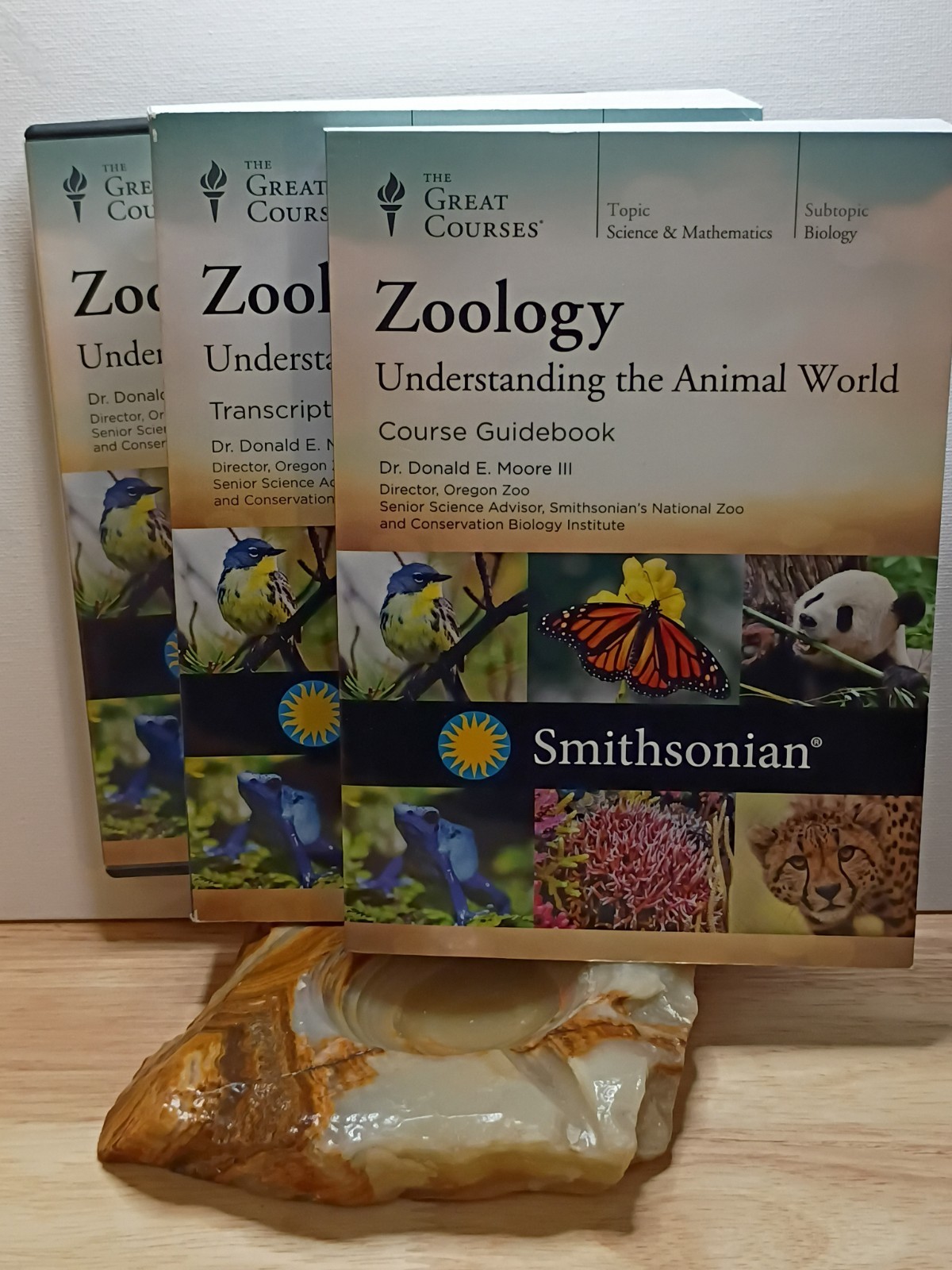 The Great Courses: Zoology Understanding the Animal World – 4 DVDs + GB + BONUS
