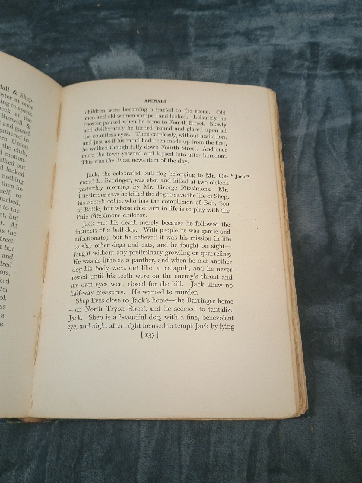 IDLE COMMENTS By Isaac Erwin Avery – Hardcover 1905