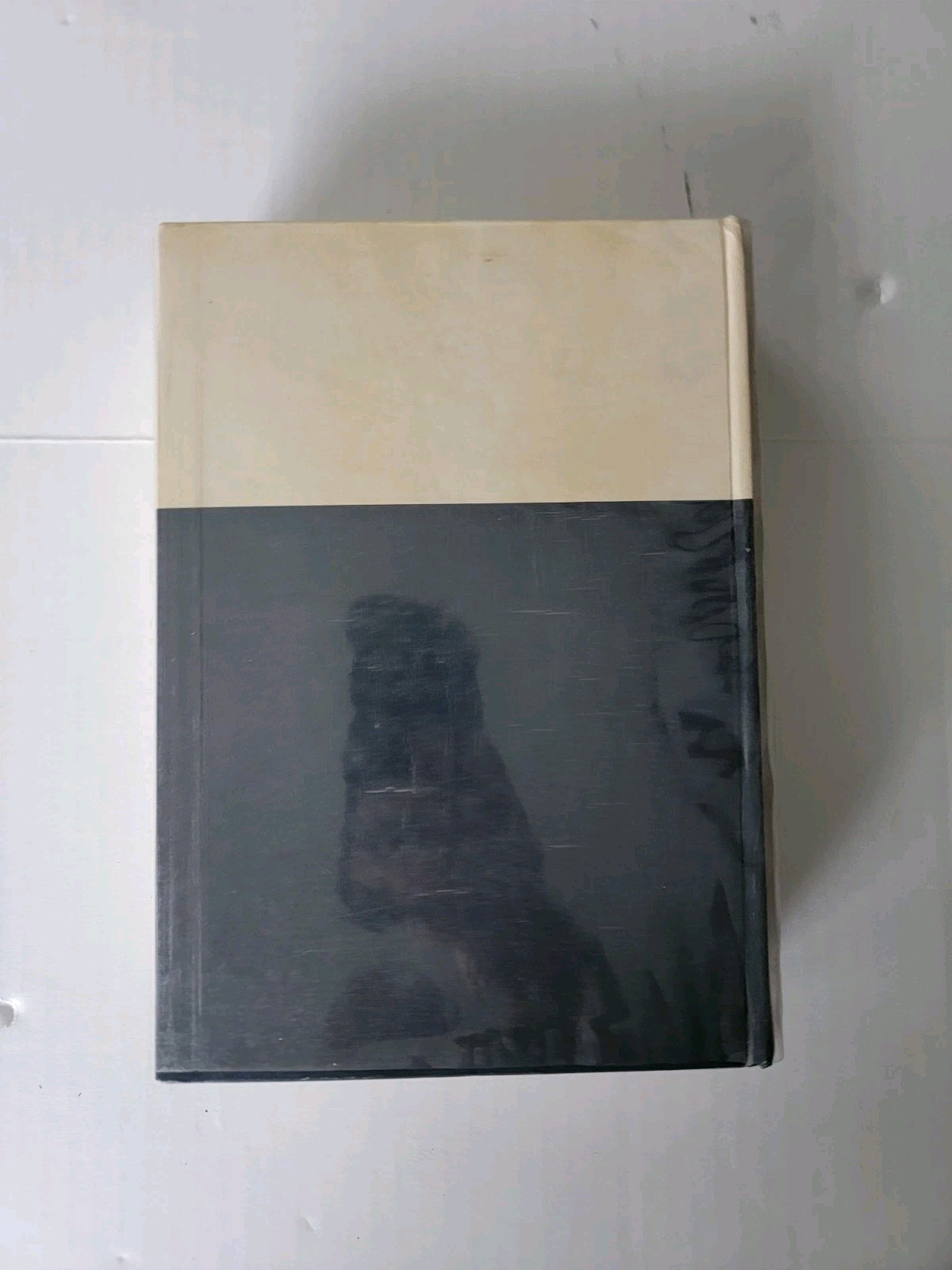Ardito Desio GEOLOGIA DELL’ITALIA – Utet 1973 Vintage Dust Jacket Hardcover