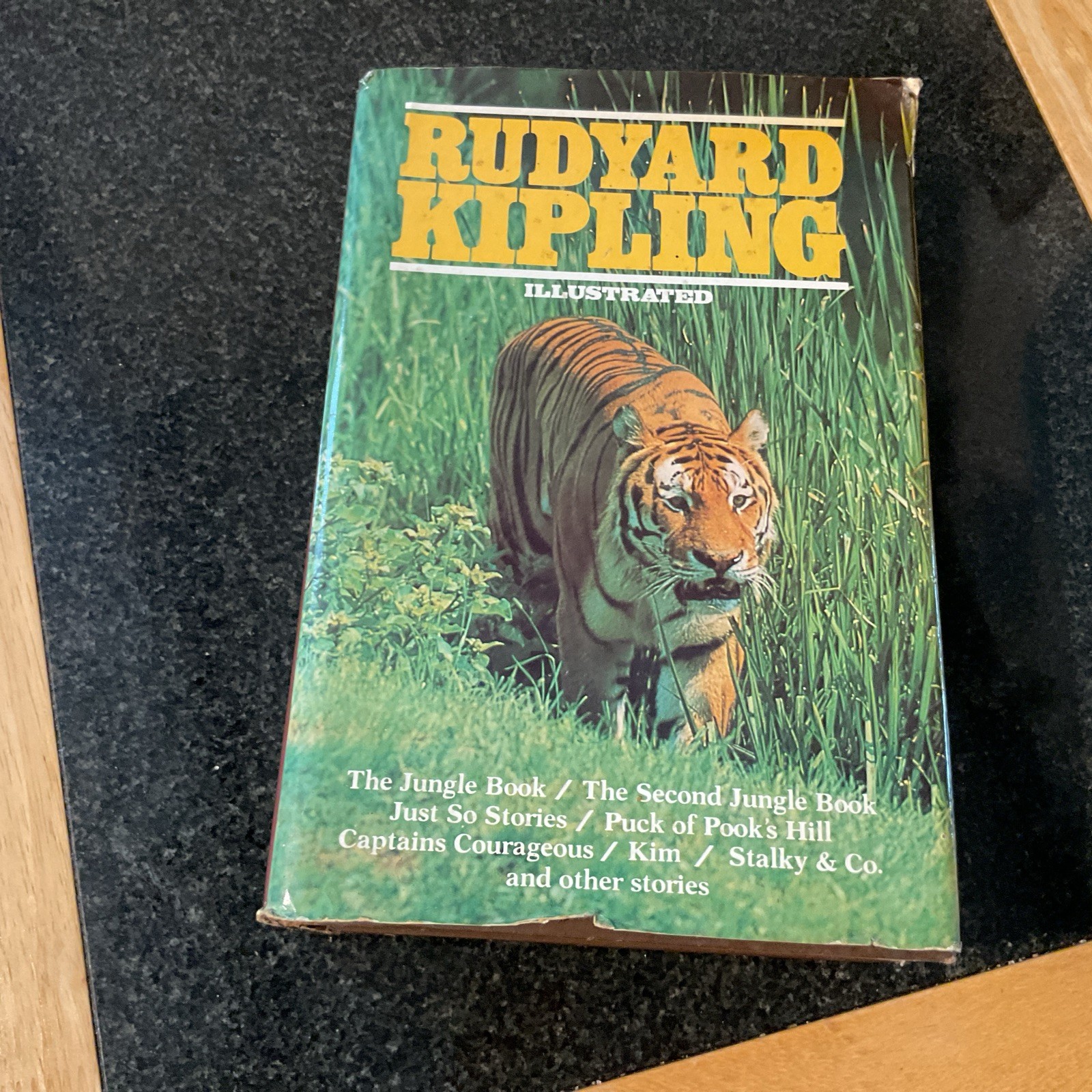 RUDYARD KIPLING ILLUSTRATED TREASURY OF WORKS & STORIES 1982 HARDCOVER BOOK
