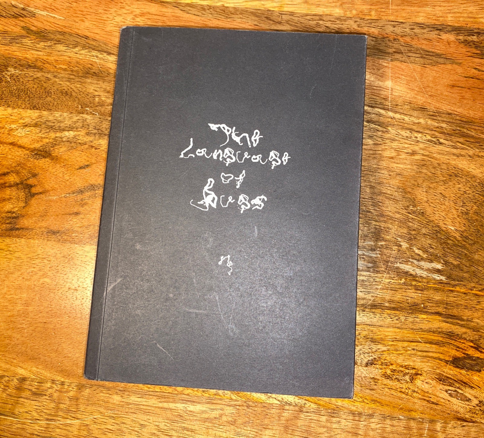 The Language Of Bugs Yingchun Zhu Soft Cover Art Book