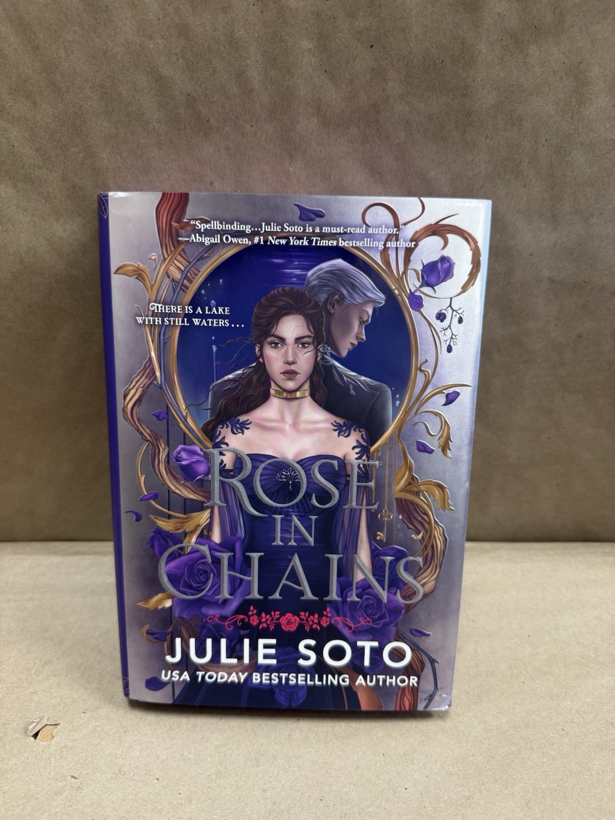 Julie Soto – Rode in chains (USED) Hardcover SEE DESCRIPTION