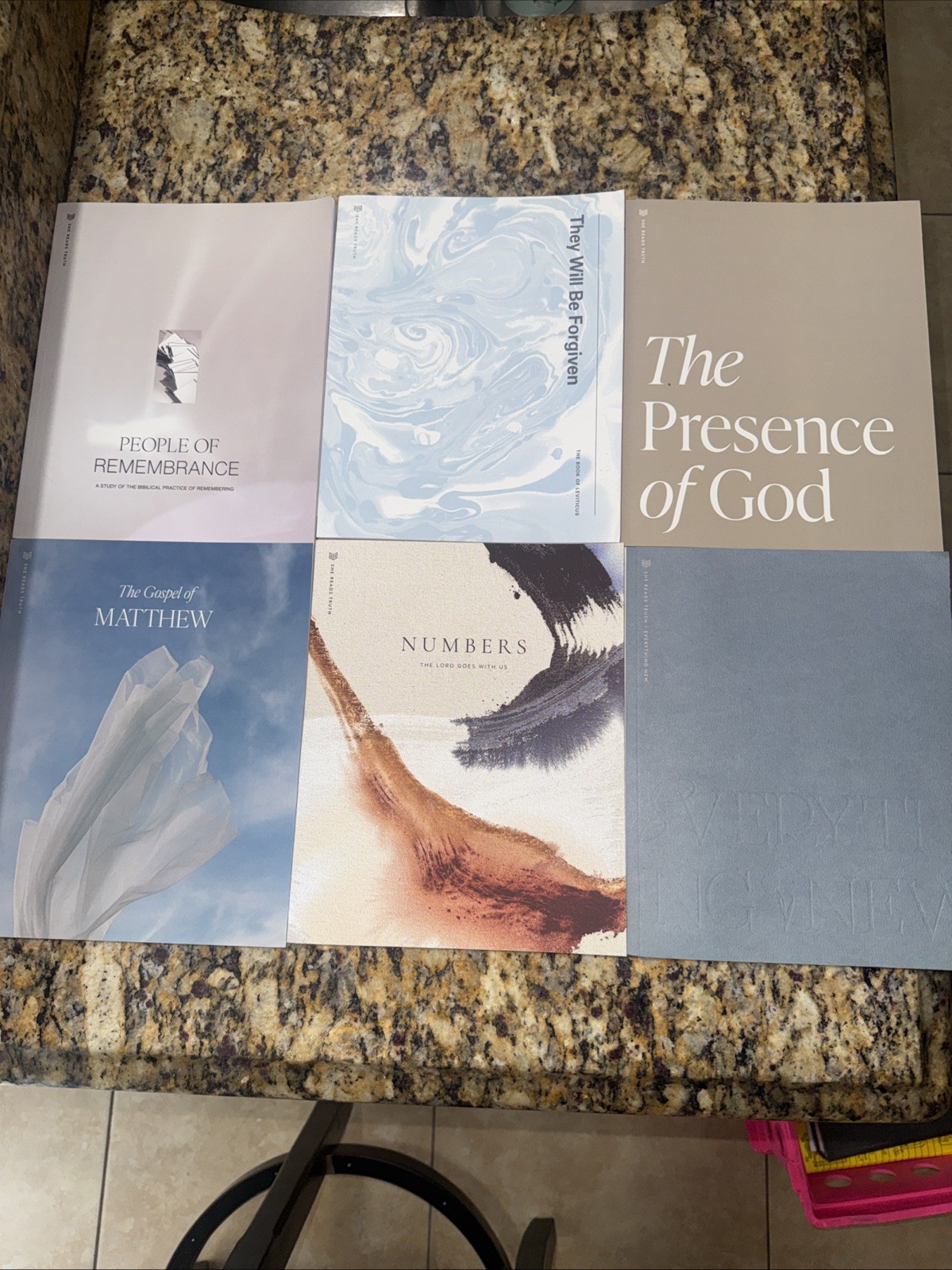She Reads Truth Bible Study Lot Workbook Set Leviticus Numbers Matthew More