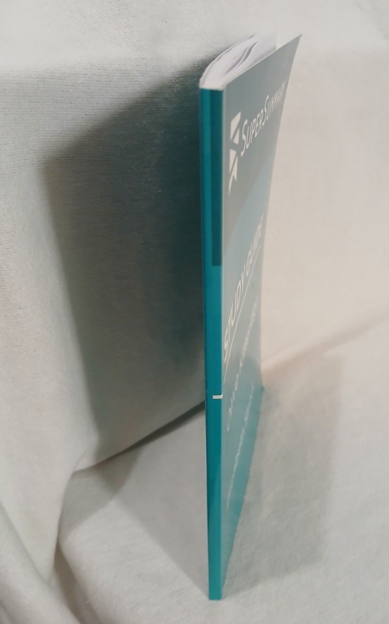 Study Guide: Olive Kitteridge Elizabeth Strout SuperSummary Maine Locale