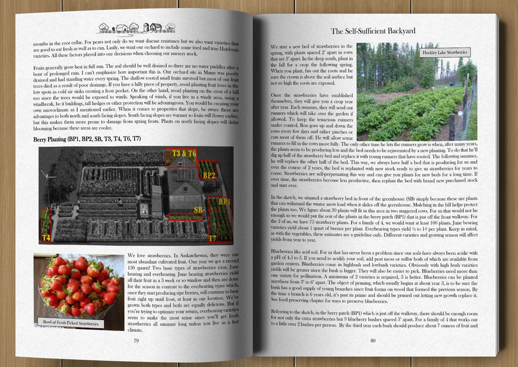 The Self-Sufficient Backyard by Ron & Johanna Melchiore Paperback Book
