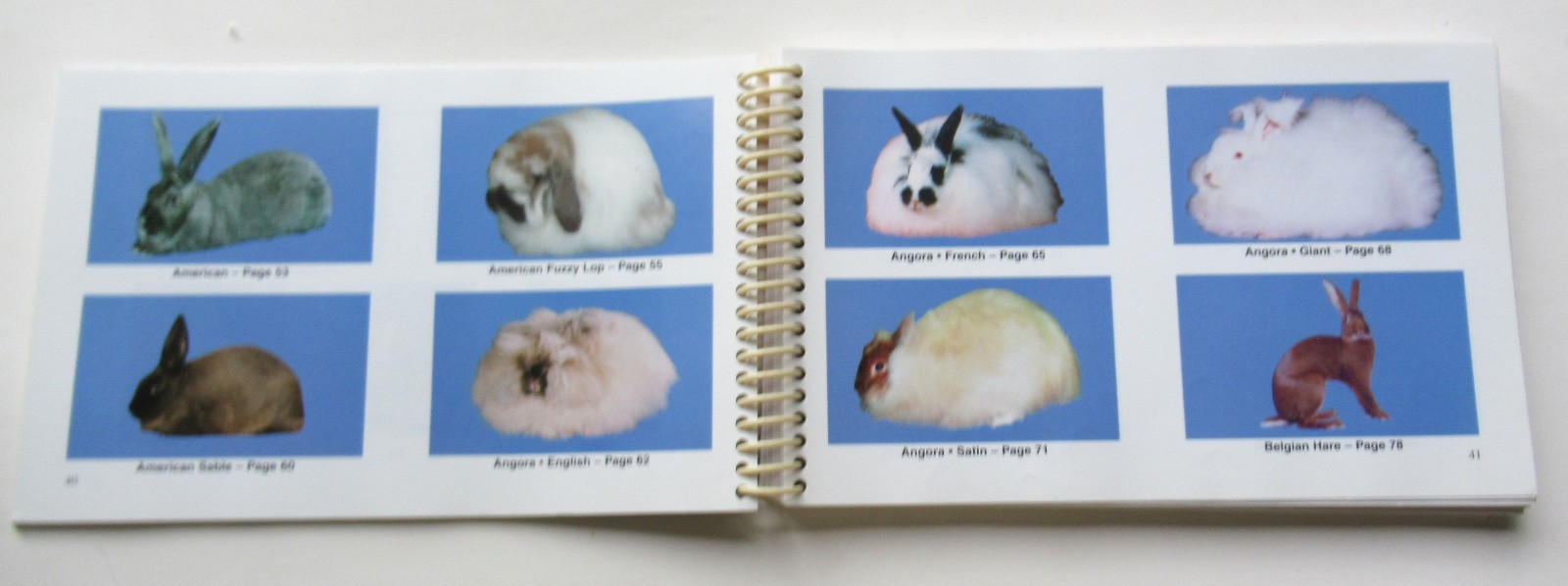 Standard of Perfection Standard Bred Rabbits&Cavies 2006-2010 Spiral-bound Good