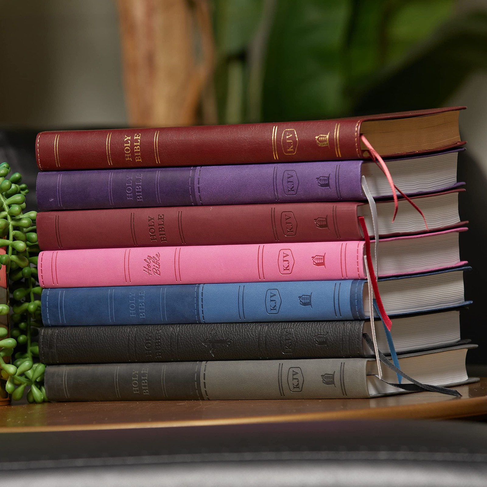 KJV Holy Bible: Value Compact Thinline, Brown Leathersoft, Red Letter, Comfort