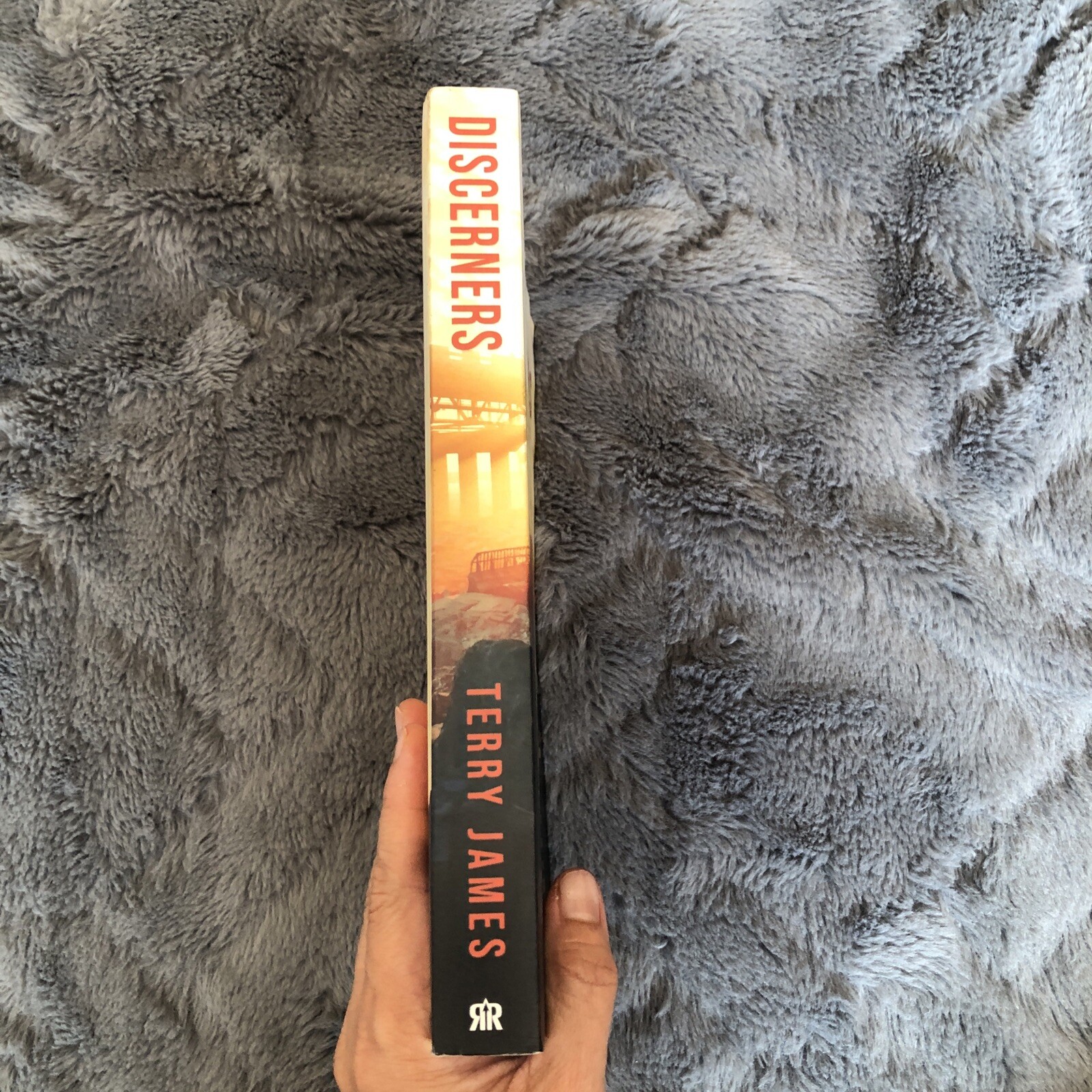 Discerners: Analyzing Converging Prophetic Signs for the End of Days Paperback