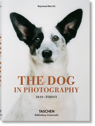 The Dog in Photography 1839-Today by Raymond Merritt: New
