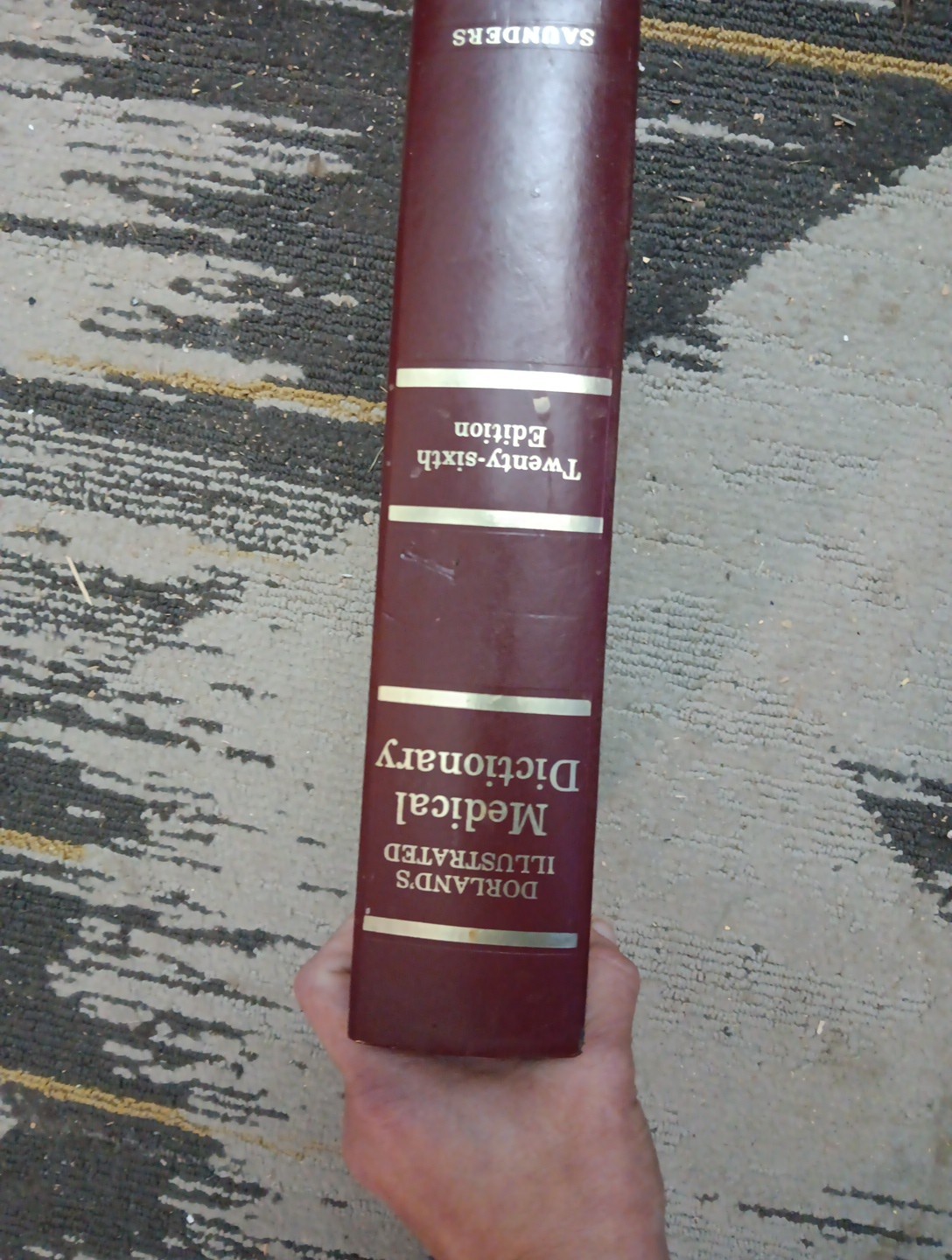 dorlands illustrated medical dictionary 1985