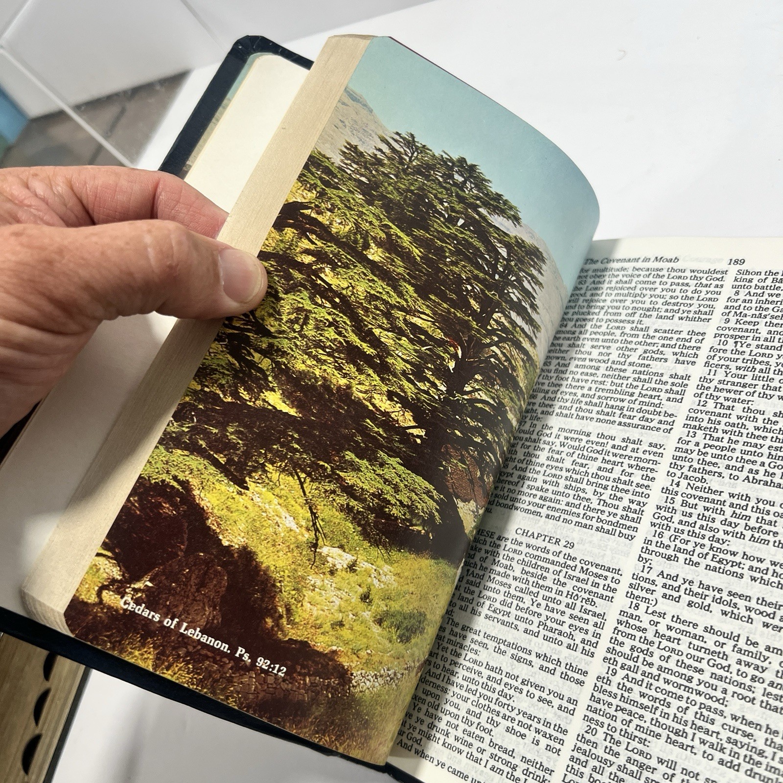 HOLY BIBLE Red Letter Concordance Dictionary King James Version NELSON 261 B