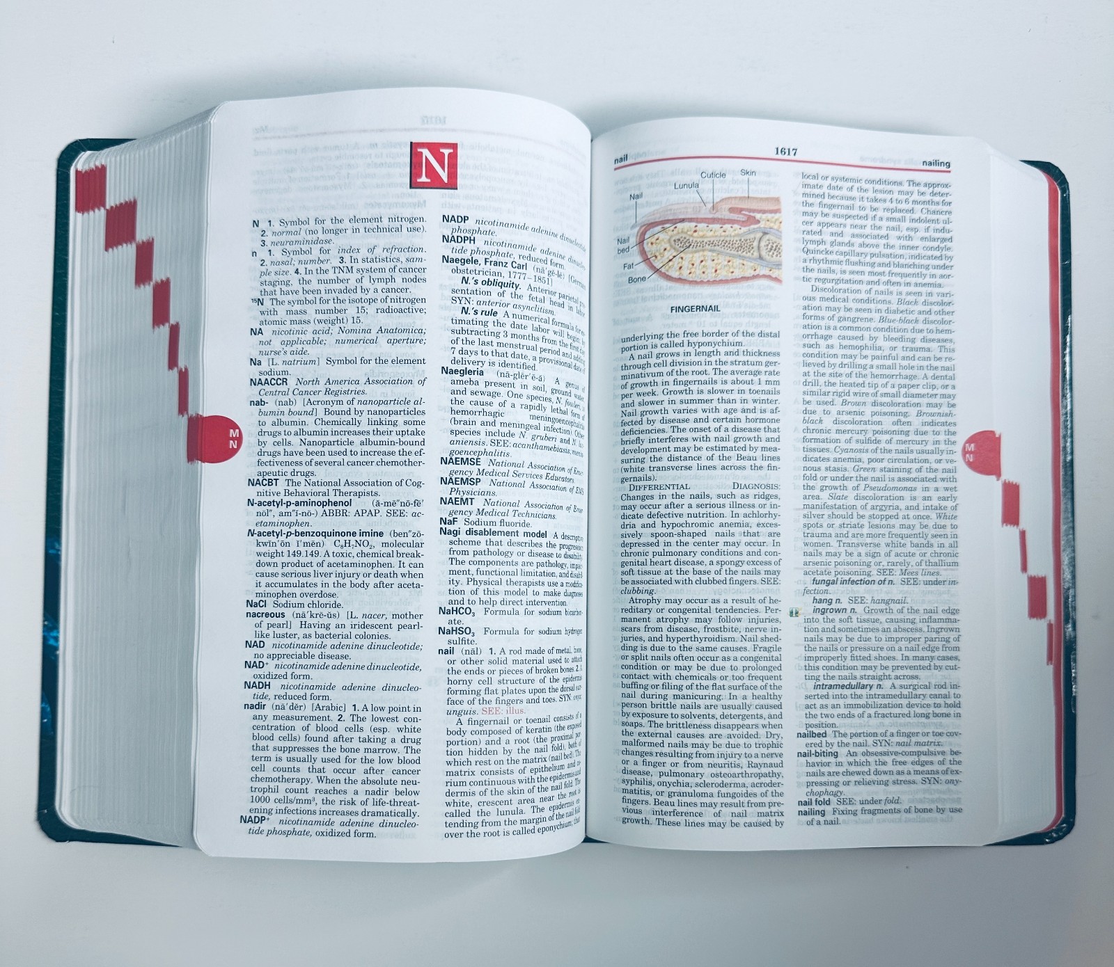 Taber’s Cyclopedic Medical Dictionary – 24th Edition – Brand New