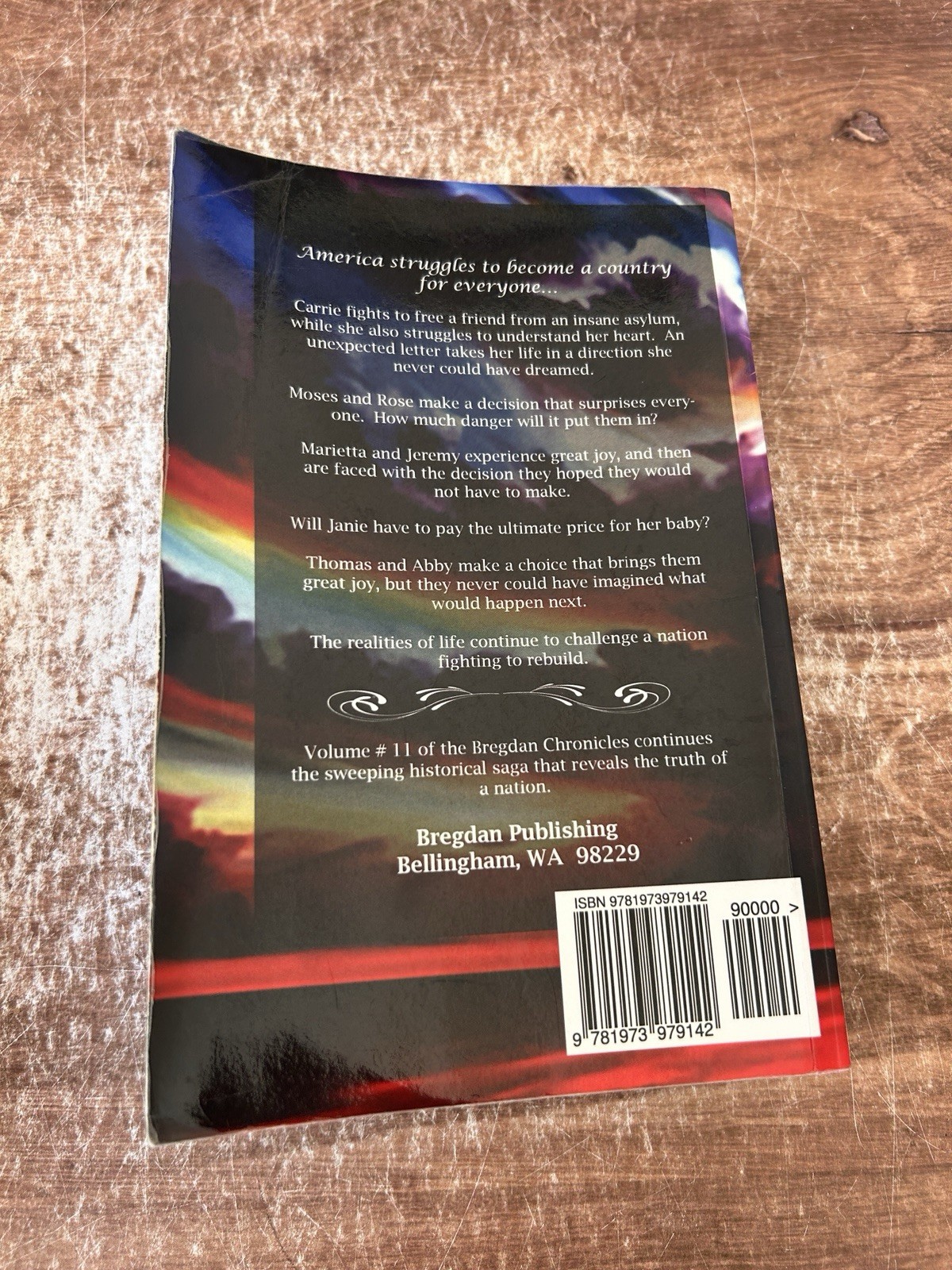 Looking To The Future (#11 in the Bregdan Chronicles Historical Fiction Roma…
