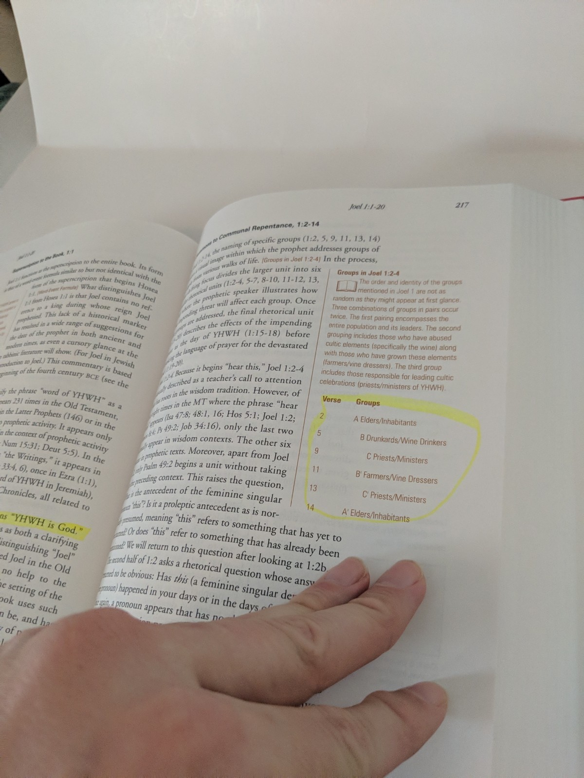 The Book of the Twelve Hosea-Jonah Smyth & Helwys Bible Commentary Hardcover +CD