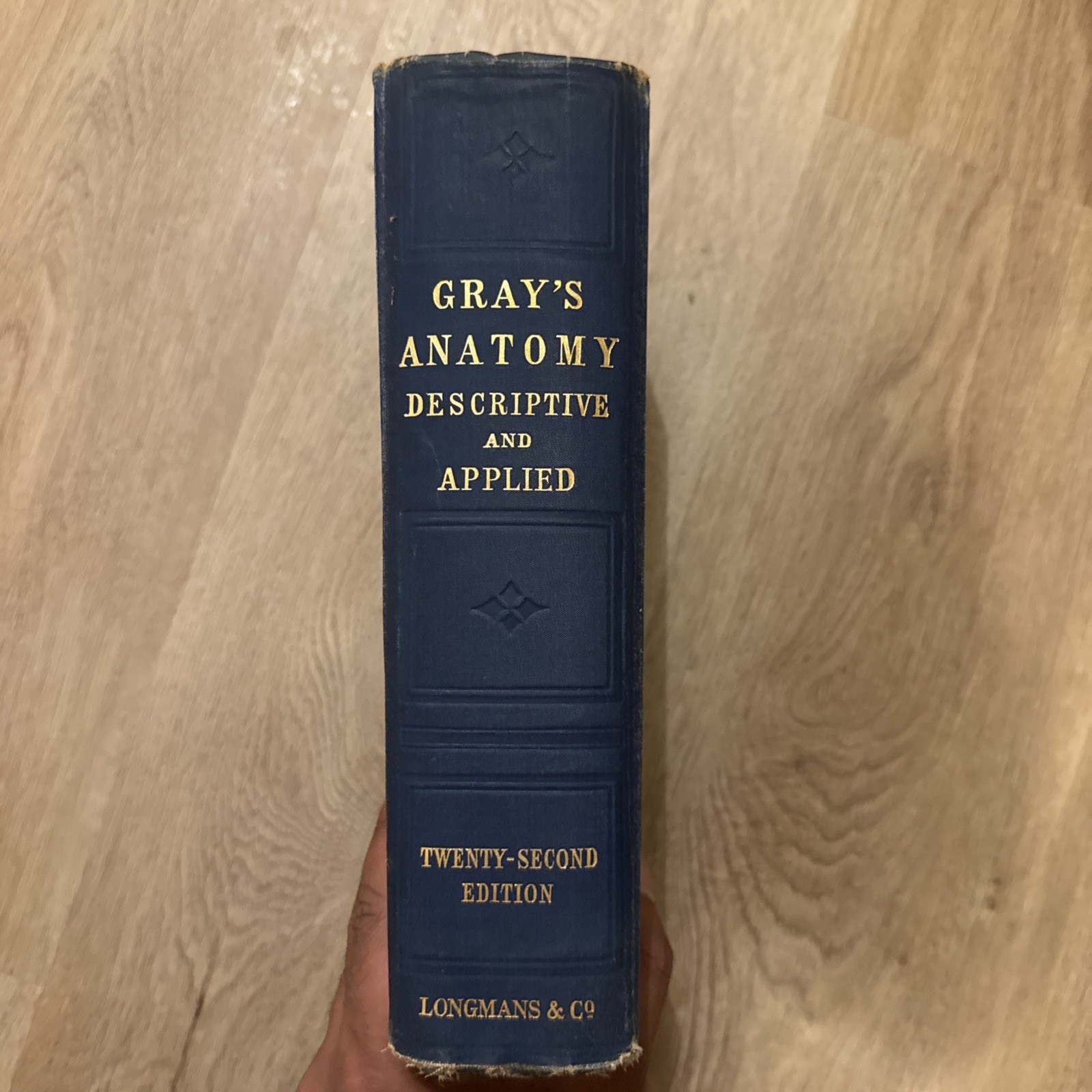 Rare 1923 Gray’s Descriptive and Applied – 22nd Ed (Classic Medical Collectible)