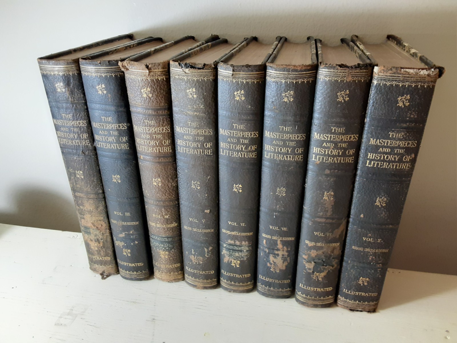 The Masterpieces and the History of Literature Illustrated 1902 8 volumes